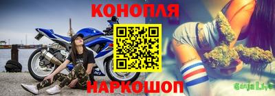 apvp Гагарин